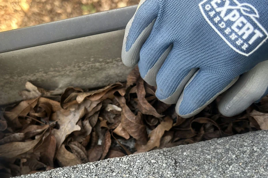 Gutter Cleaning Simpsonville